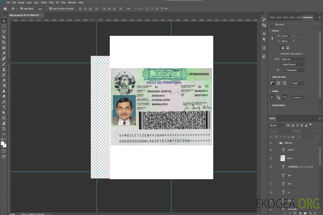 Visa MOZAMBIQUE template